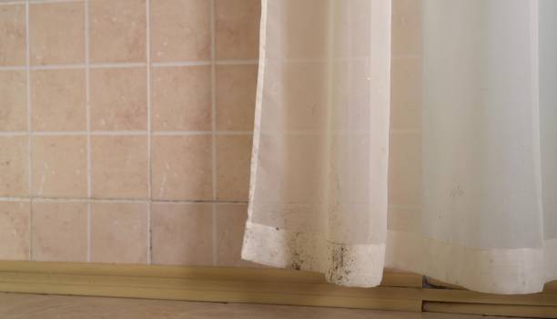 Best Indoor Air Quality Assessment  in Comer, GA