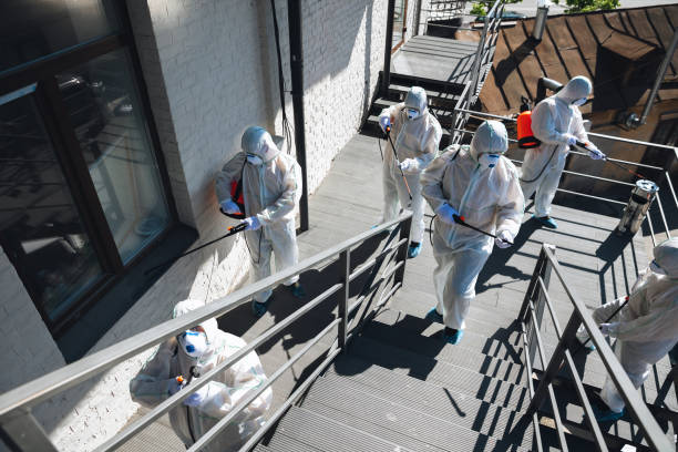 Best Mold Damage Restoration  in Comer, GA