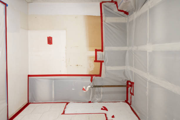 Best Biohazard Mold Removal  in Comer, GA