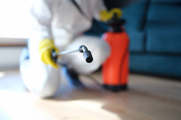 Best Mold Remediation for Healthcare Facilities  in Comer, GA