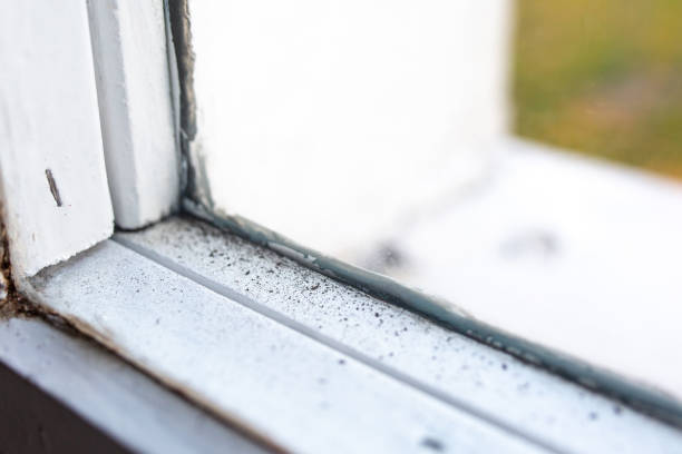 Best Forensic Mold Investigation  in Comer, GA