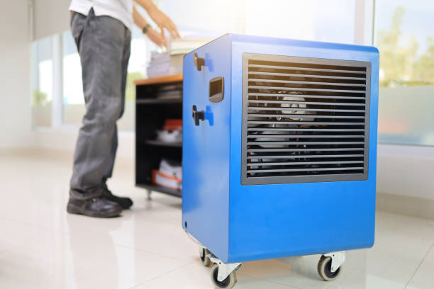 Best Mold Prevention Services  in Comer, GA