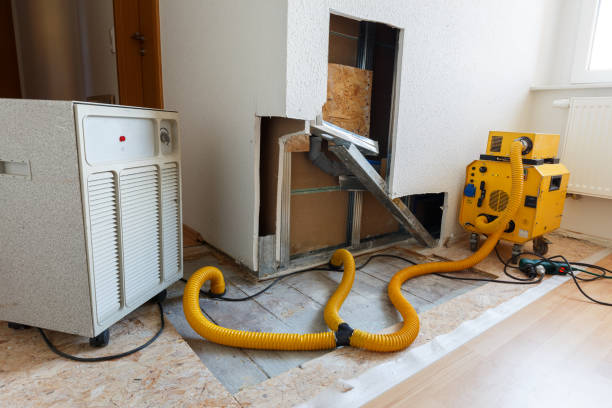 Best Residential Mold Inspection & Testing  in Comer, GA