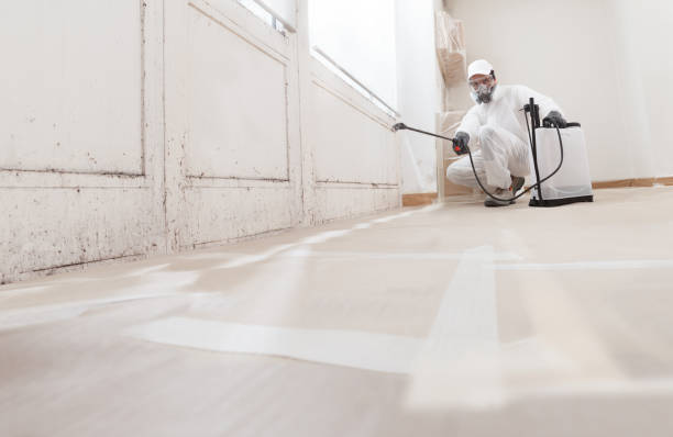 Best Mold Removal for HVAC Installations  in Comer, GA